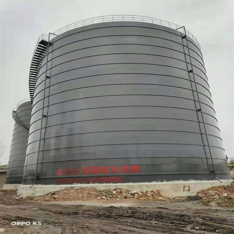 月湖3万吨大型钢板库